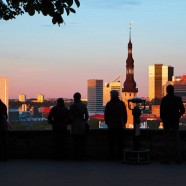 Tallinn old town view