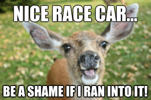 deer-meme