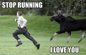 moose meme (2)