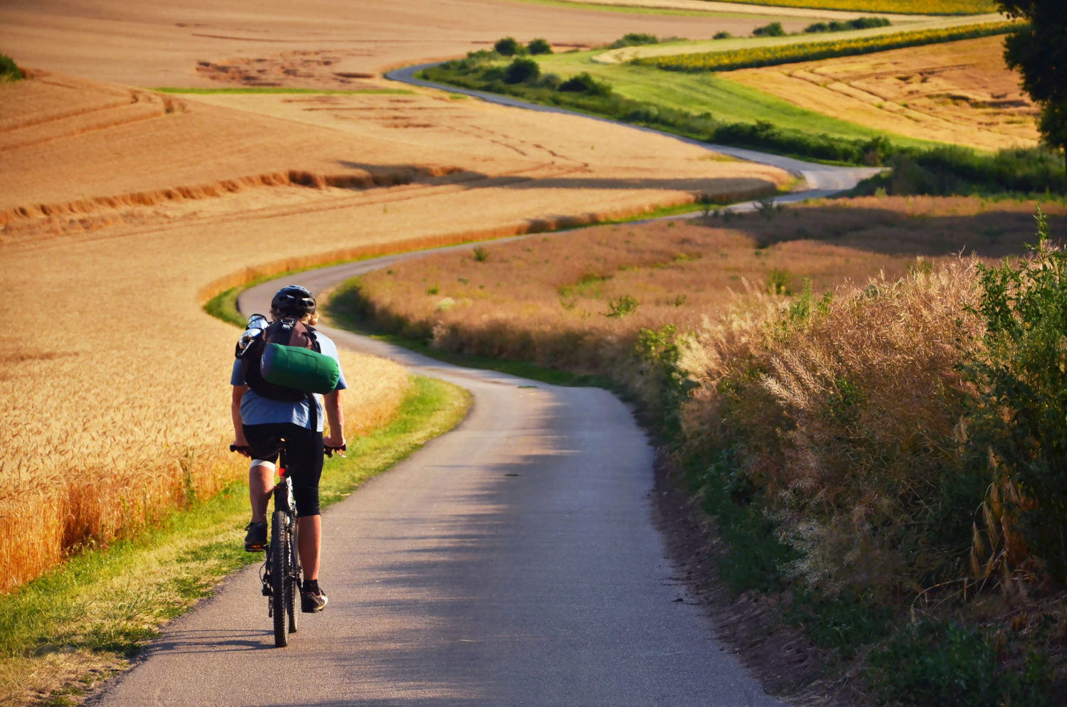 Cyclist with a backpack on a small road between fields cycling from Prague to Vienna