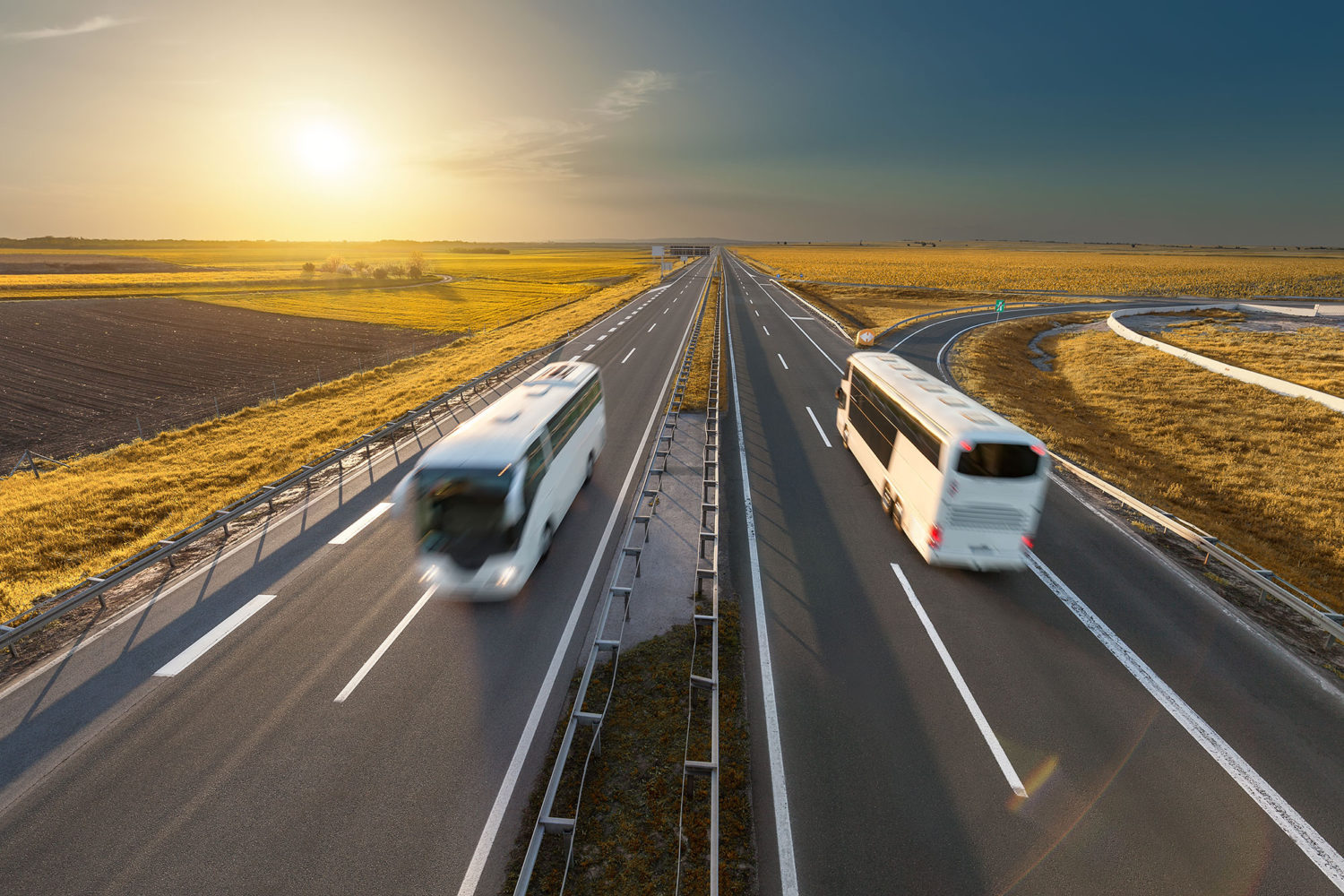 Two white buses on a highway