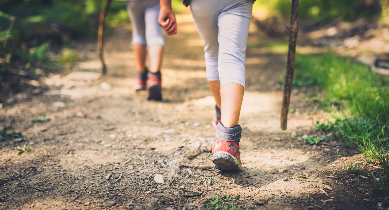 Children walking with sticks on a country road