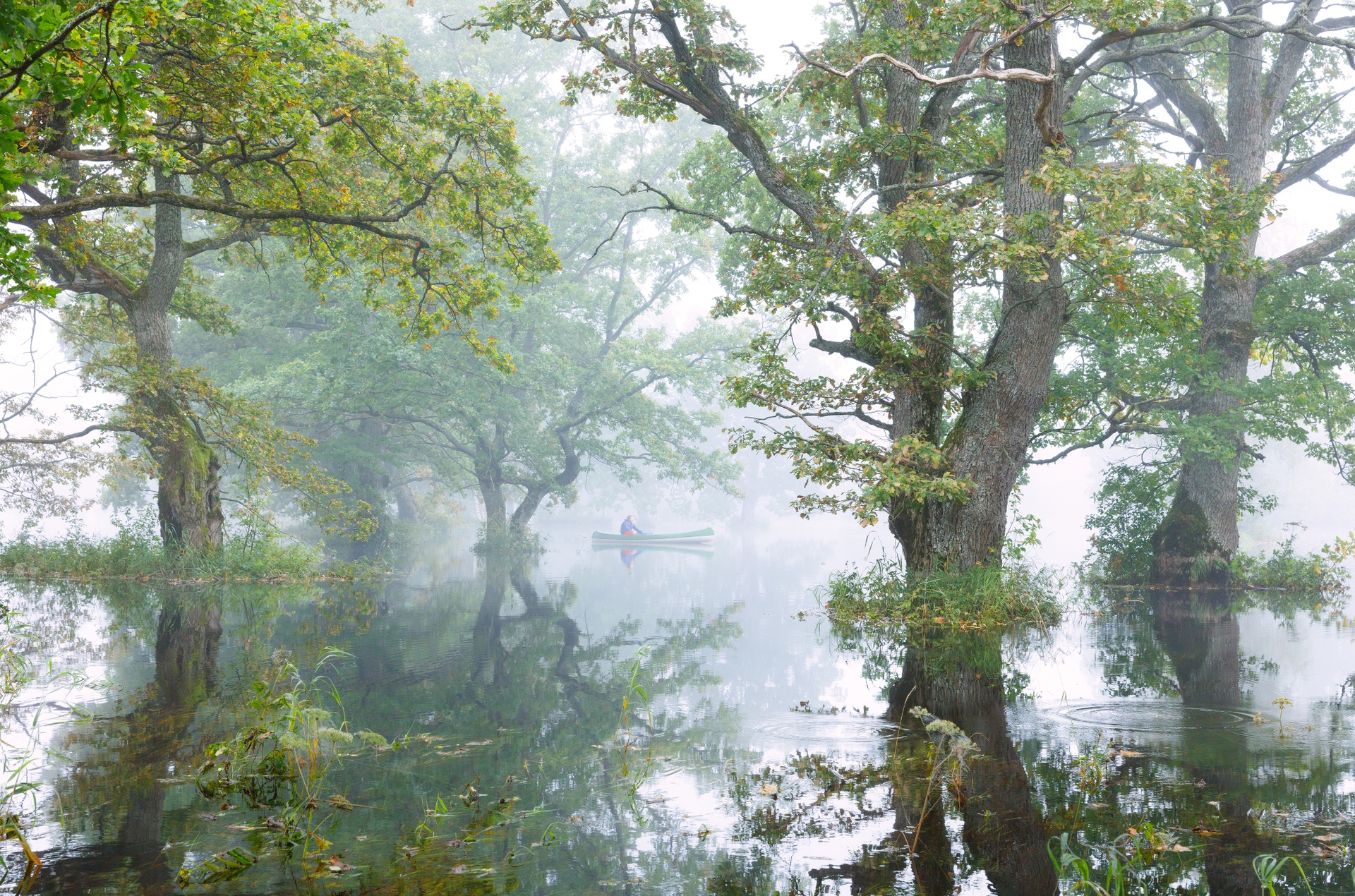 Soomaa National Park