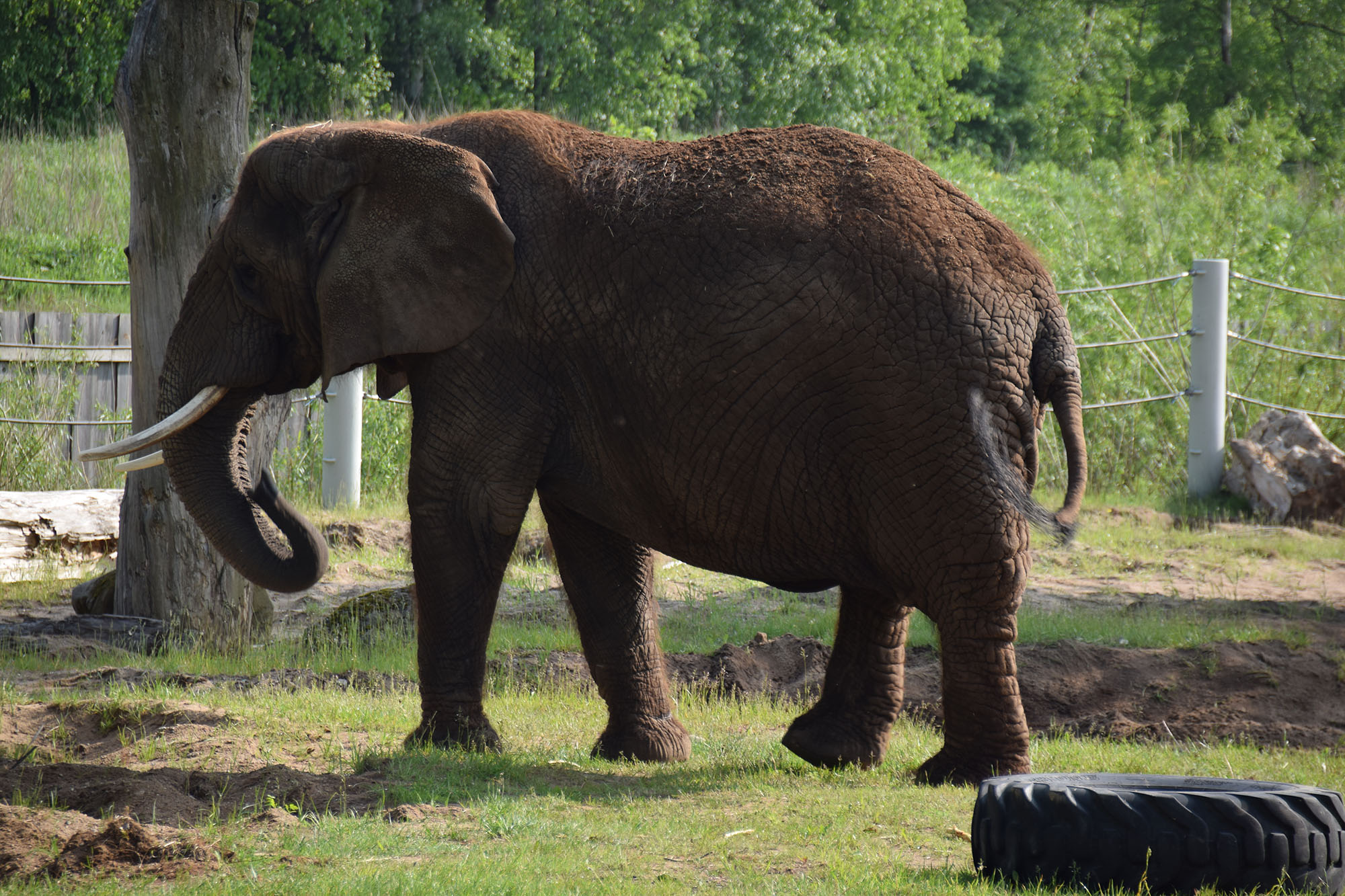 Tallinn Zoo