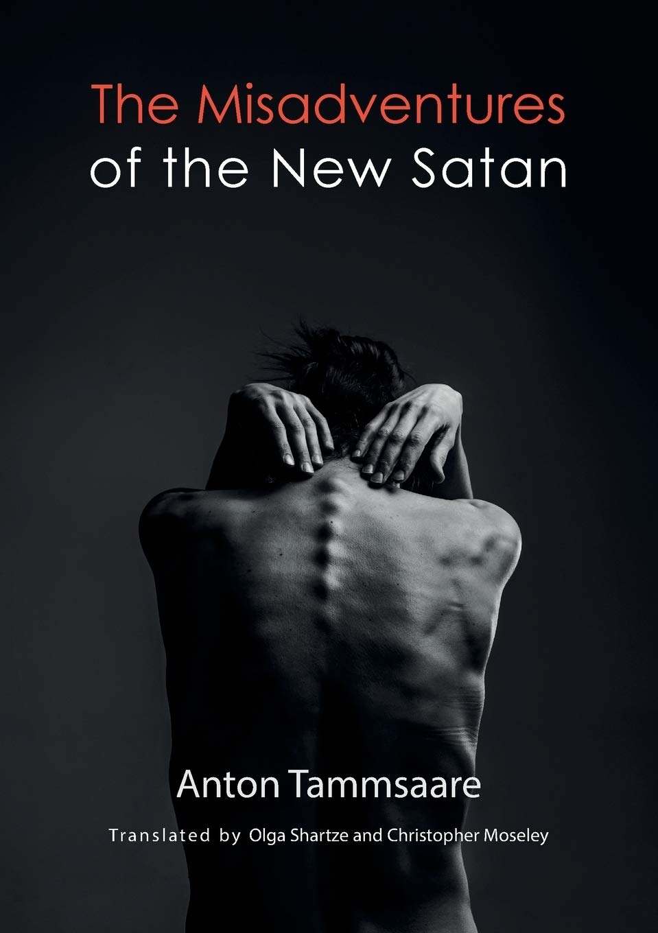 The Misadventures of The New Satan