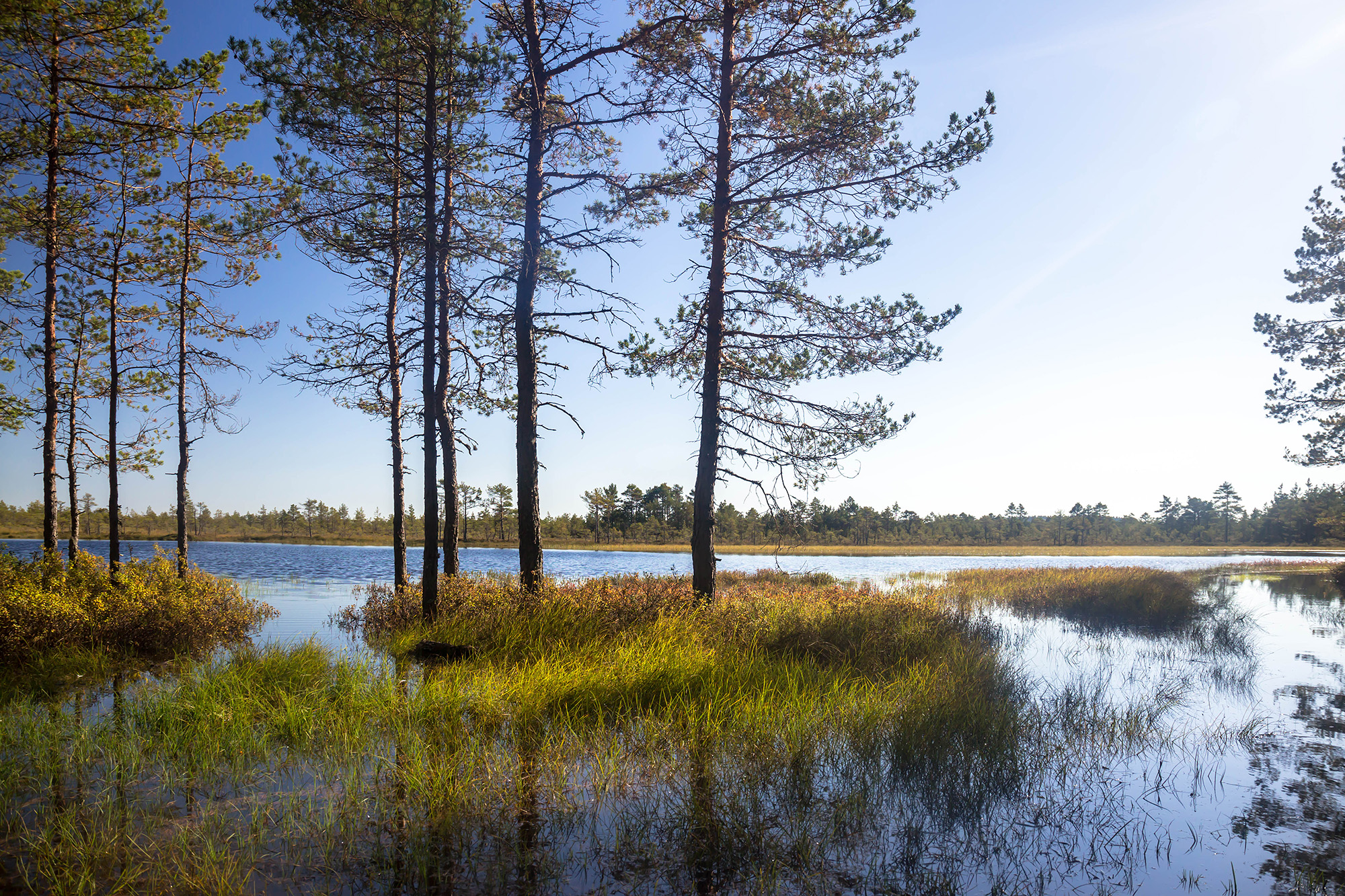 Paukjärve, Kõrvemaa